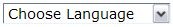 Choose language drop-down image